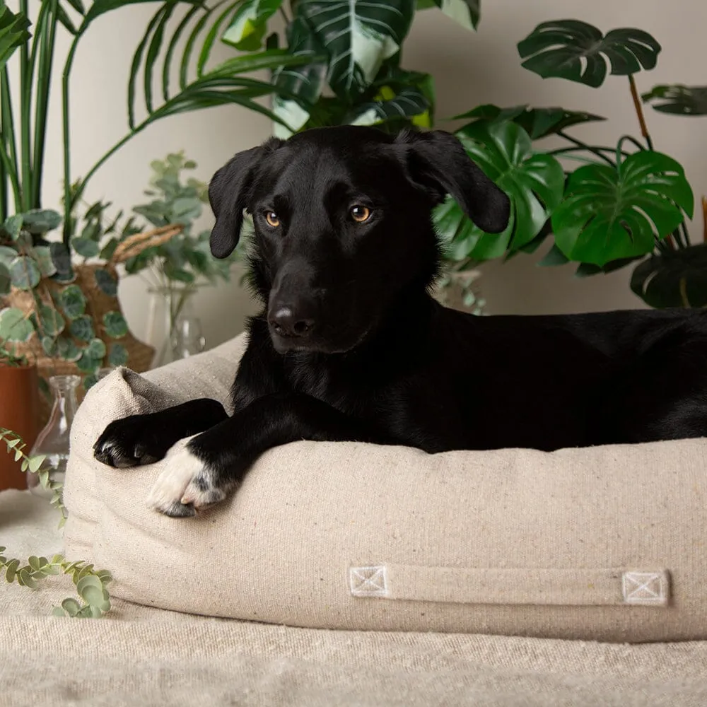 100% Recycled Eden Box Dog Bed - Cream