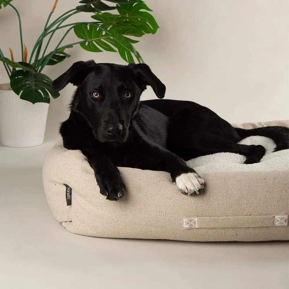 100% Recycled Eden Box Dog Bed - Cream