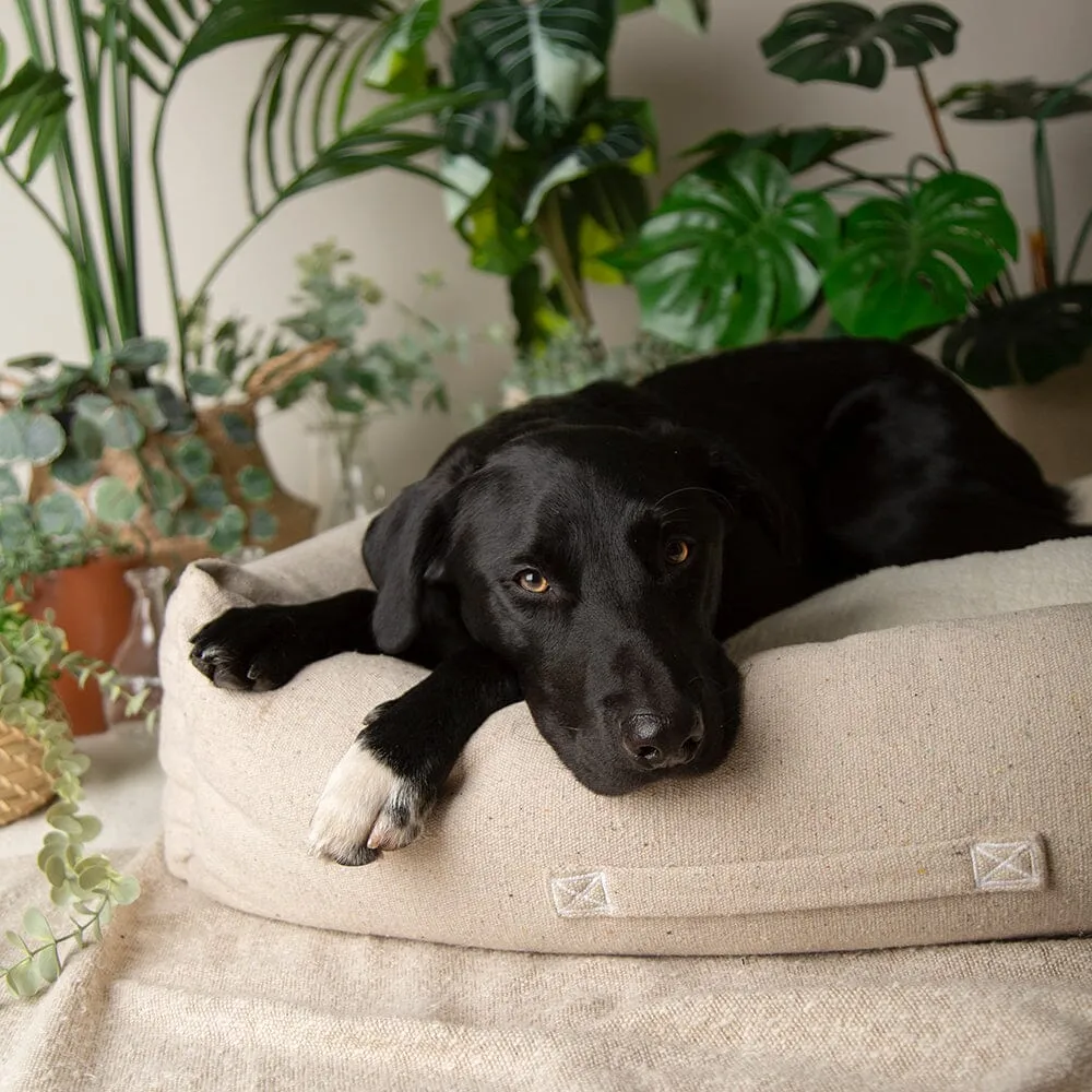 100% Recycled Eden Box Dog Bed - Cream