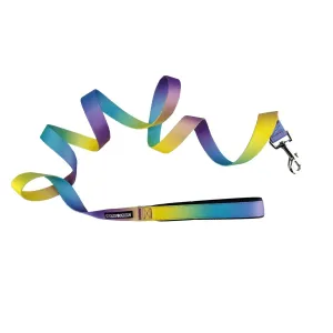 American River Ombre Dog Leash Lemonberry Ice