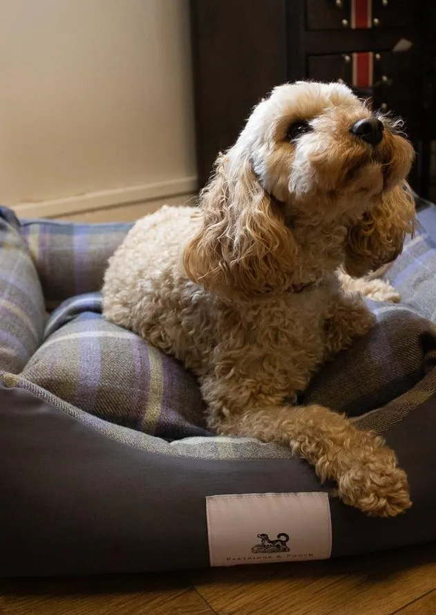 Amherst 2 in 1 Dog bed - Anthracite Grey with Blue Tweed Check