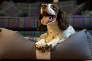 Amherst 2 in 1 Dog bed - Anthracite Grey with Blue Tweed Check