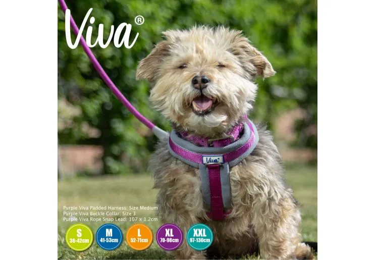 Ancol - Viva Nylon Padded Harness - Pink - Small (36-42cm)