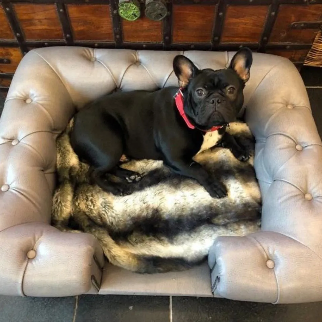 Balmoral Dog Sofa Chesterfield In Steel Grey Faux Leather