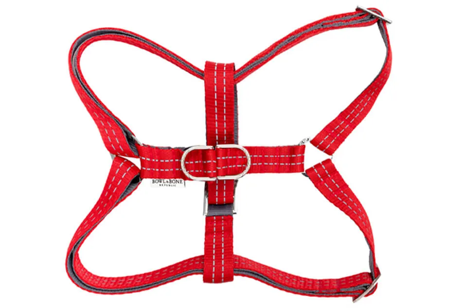 Bowl and Bone Active Red Dog Harness and Lead Set