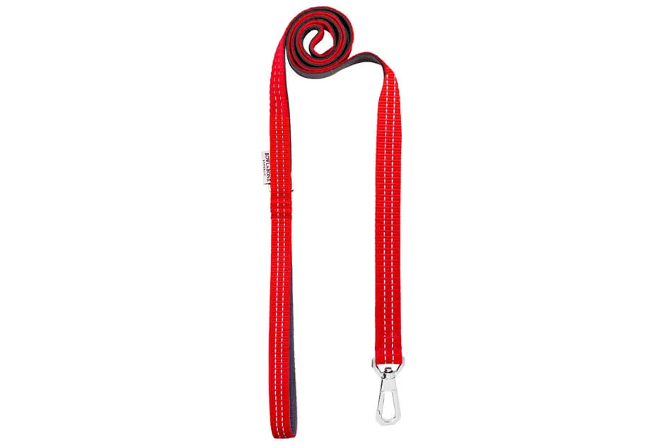 Bowl and Bone Active Red Dog Harness and Lead Set