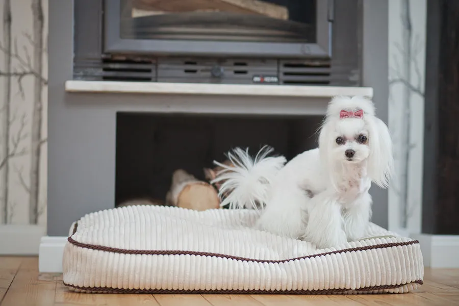 Bowl and Bone Deco Amber Dog Bed Cushion