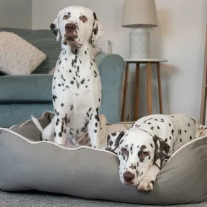 Box Bed With Removable Covers in Savanna Stone by Lords & Labradors