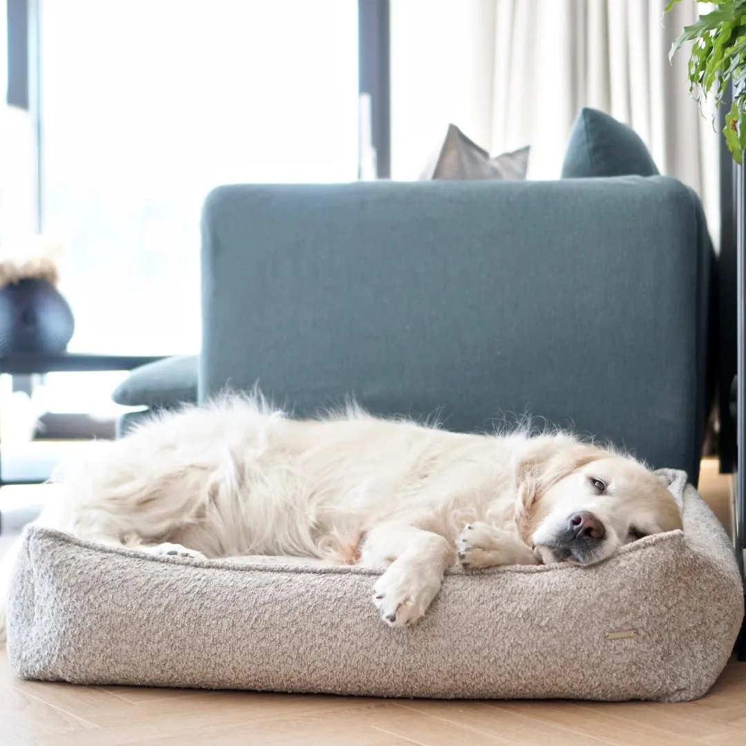 BUKLAA Light Beige Boucle Luxury Dog Bed by Labbvenn