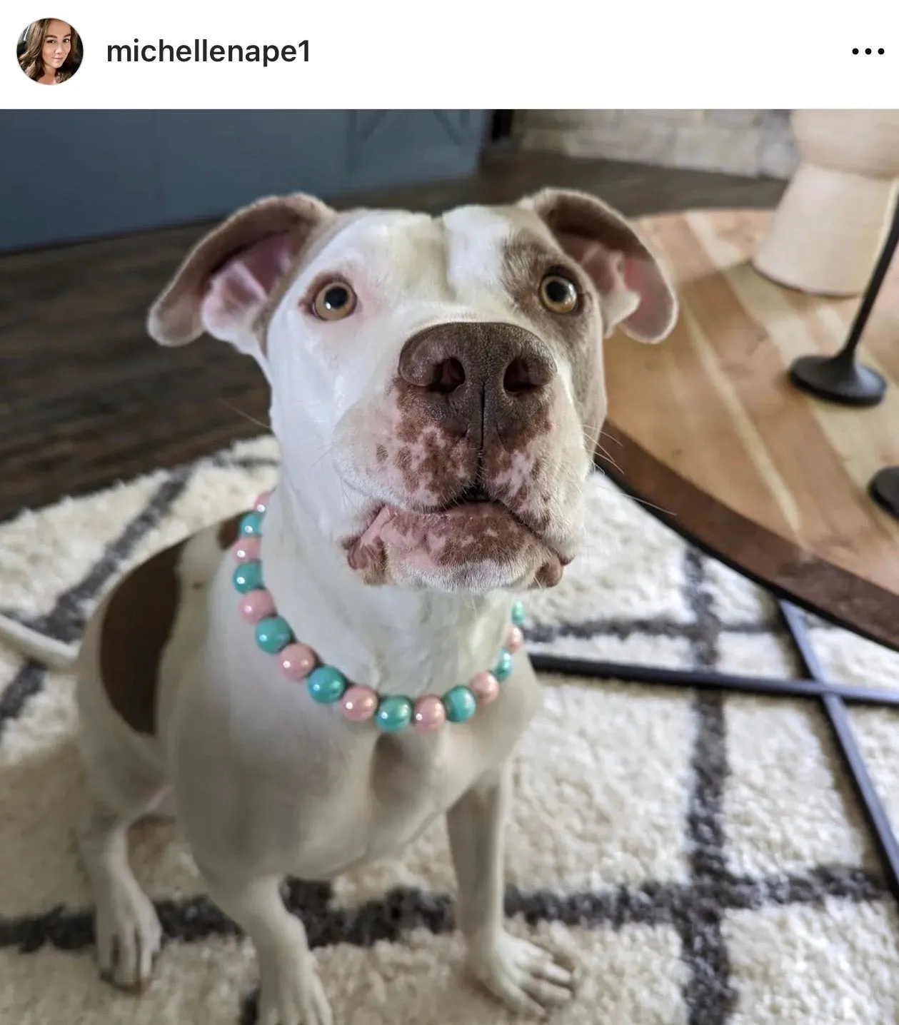 Cotton Candy Shine Bead Collar - SALE