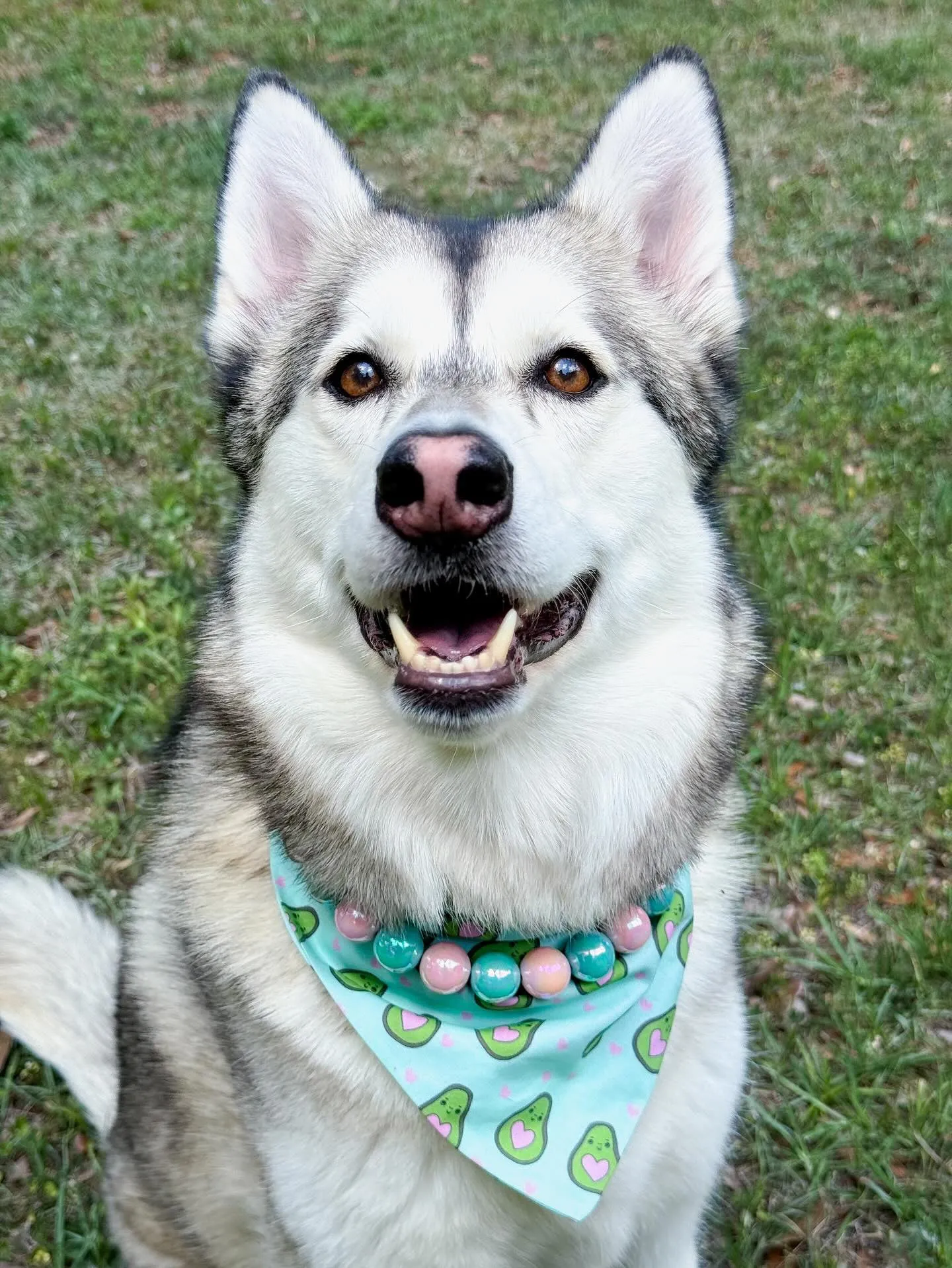 Cotton Candy Shine Bead Collar - SALE