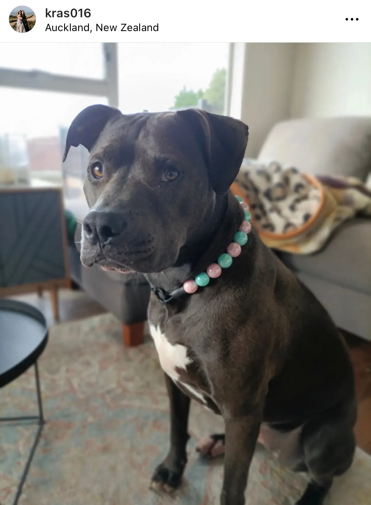 Cotton Candy Shine Bead Collar - SALE