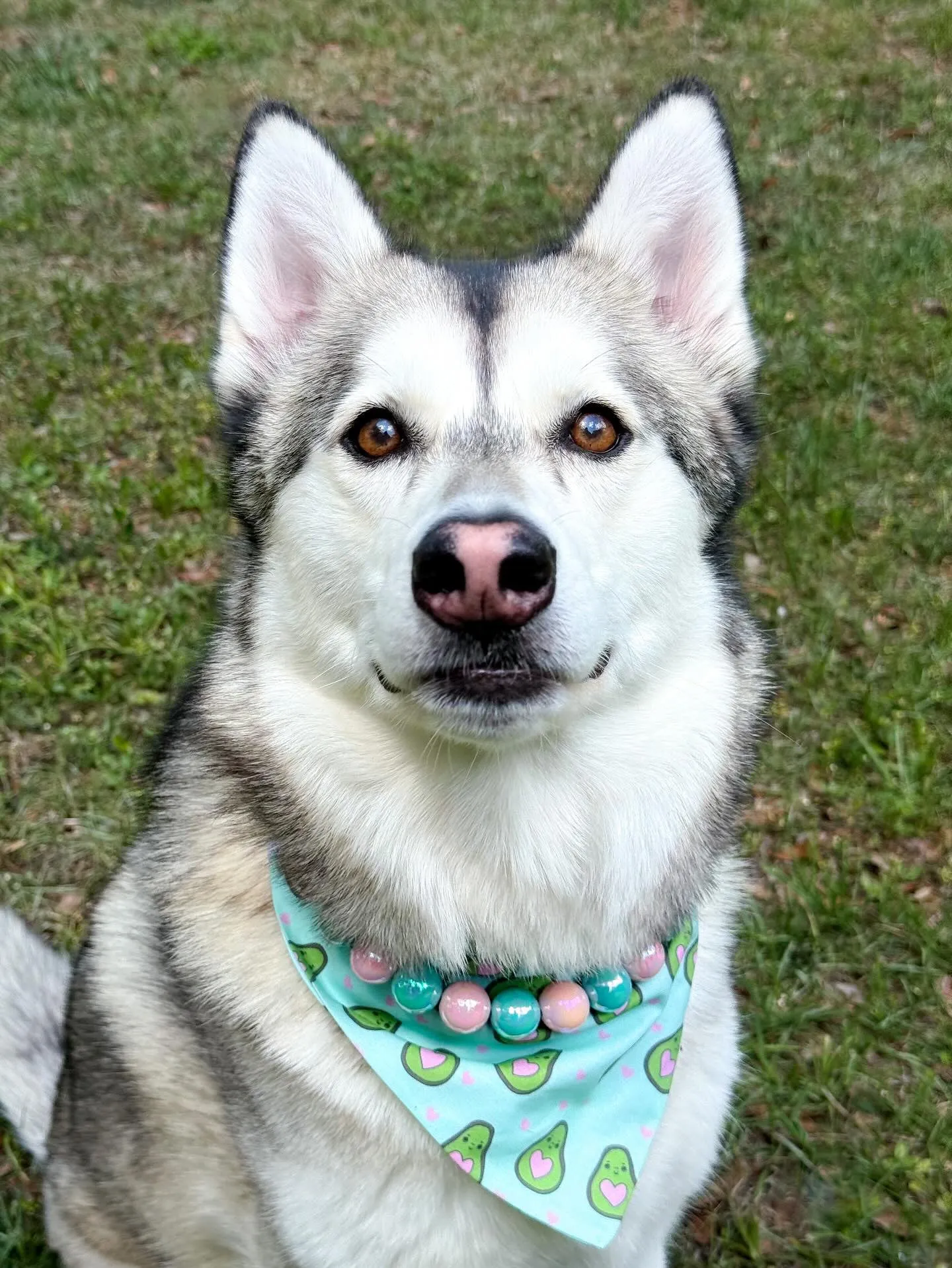 Cotton Candy Shine Bead Collar - SALE