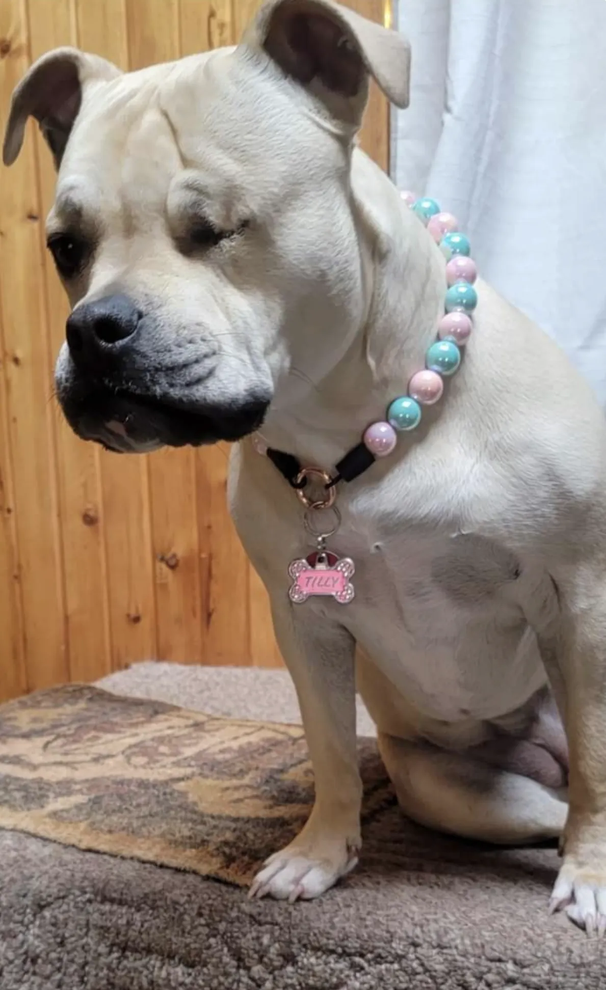 Cotton Candy Shine Bead Collar - SALE