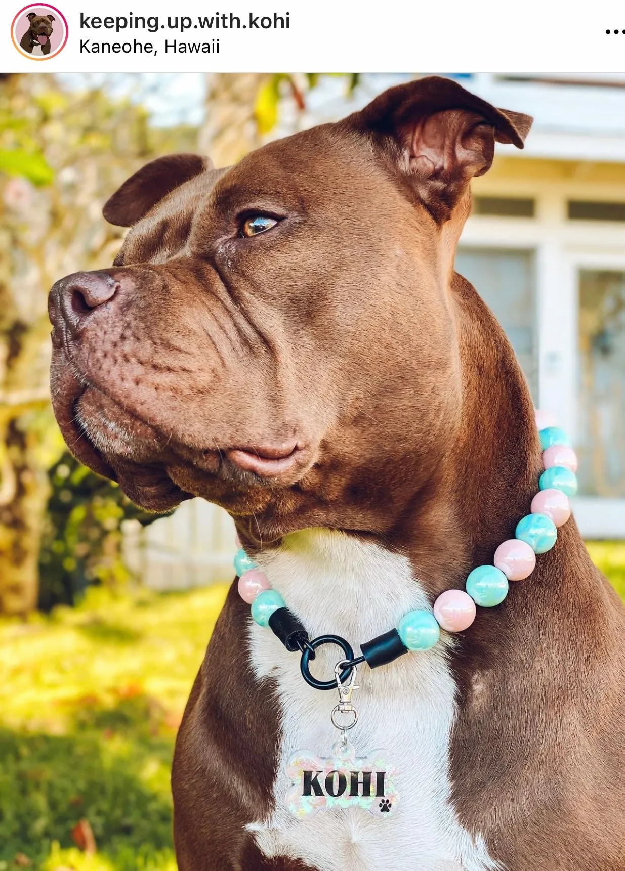 Cotton Candy Shine Bead Collar - SALE