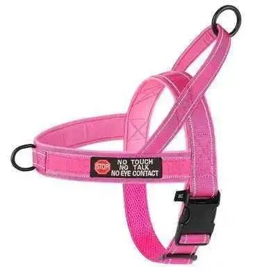 Didog Enchanted Dream Dog Harness