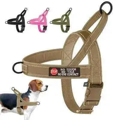 Didog Enchanted Dream Dog Harness