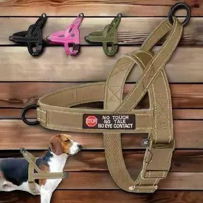 Didog Enchanted Dream Dog Harness