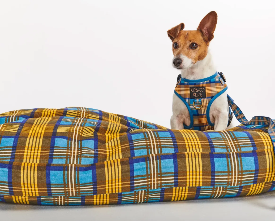 Dog Bed, Cosy Tartan