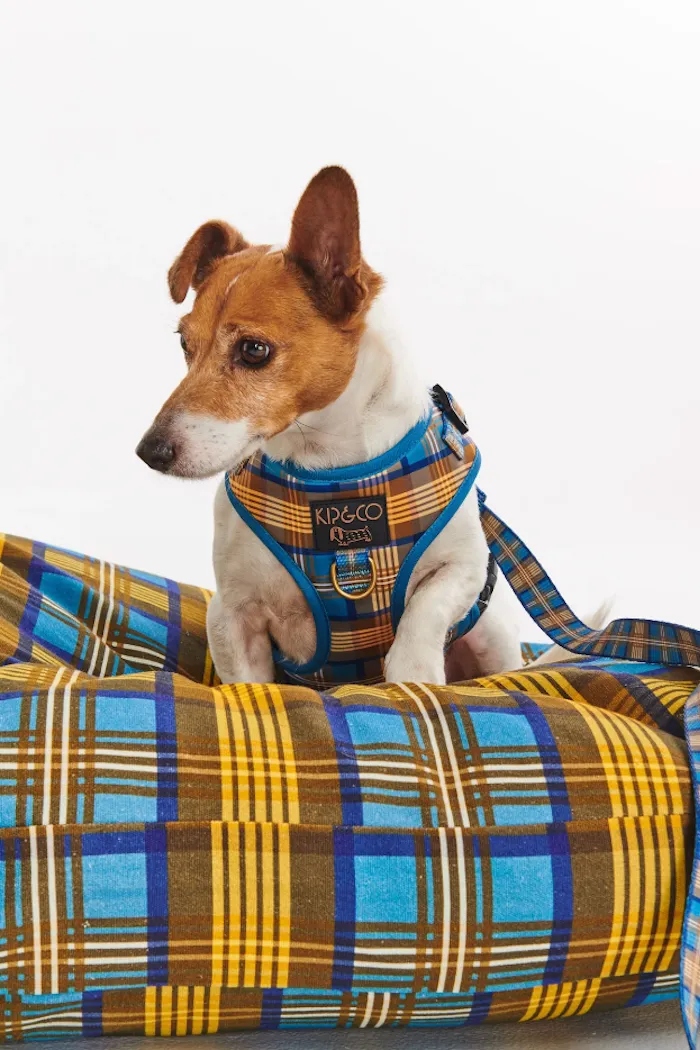 Dog Bed, Cosy Tartan