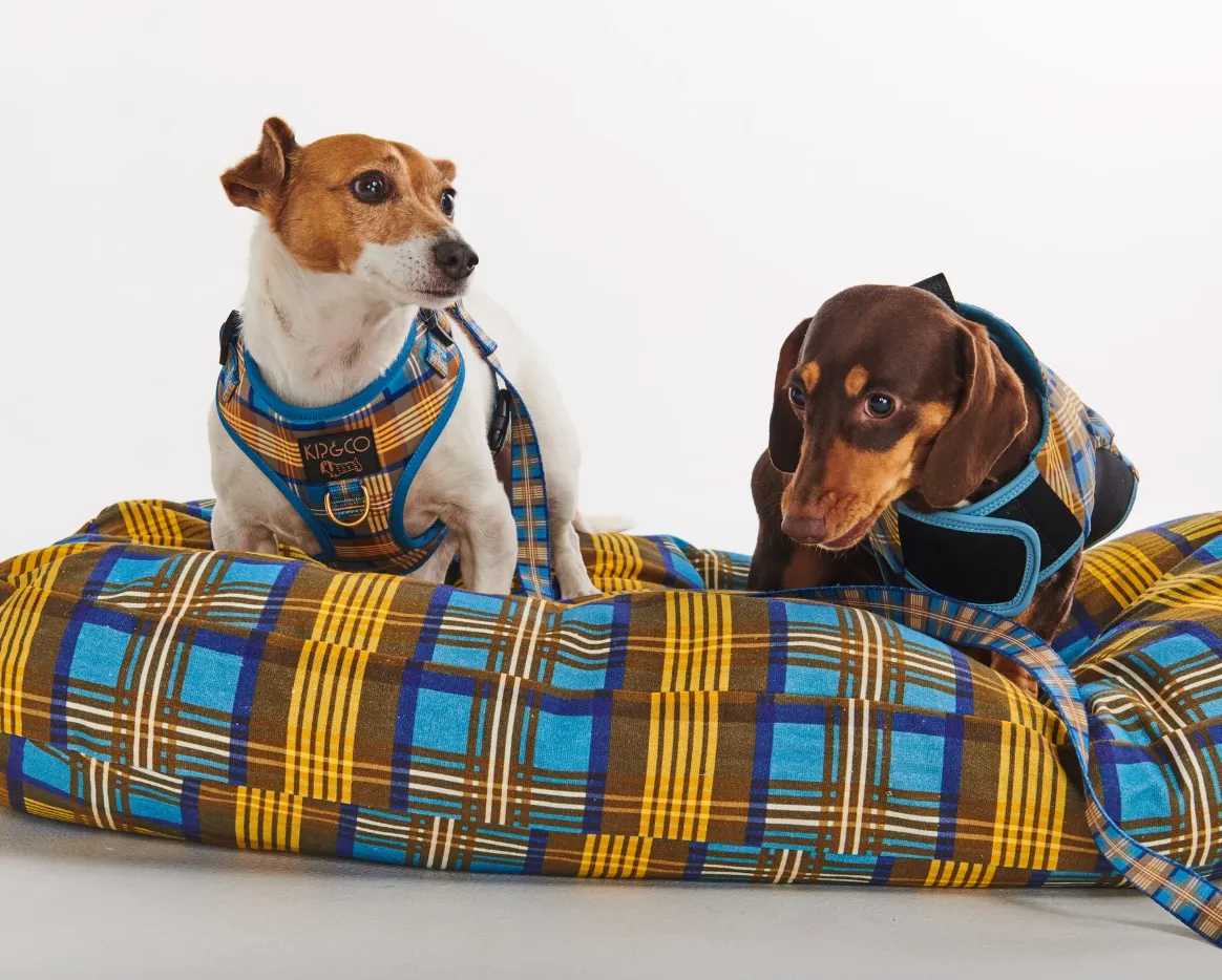 Dog Bed, Cosy Tartan