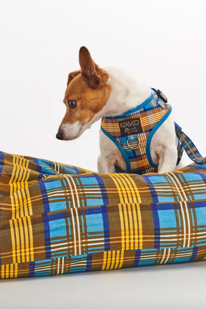 Dog Bed, Cosy Tartan