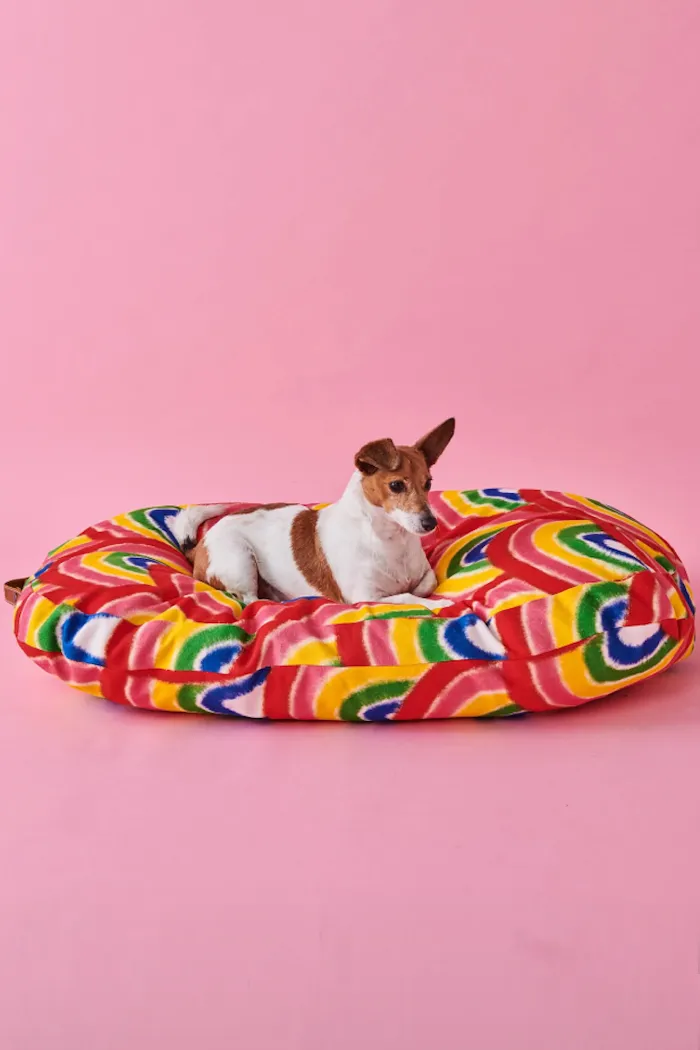 Dog Bed, Rainbow Spray