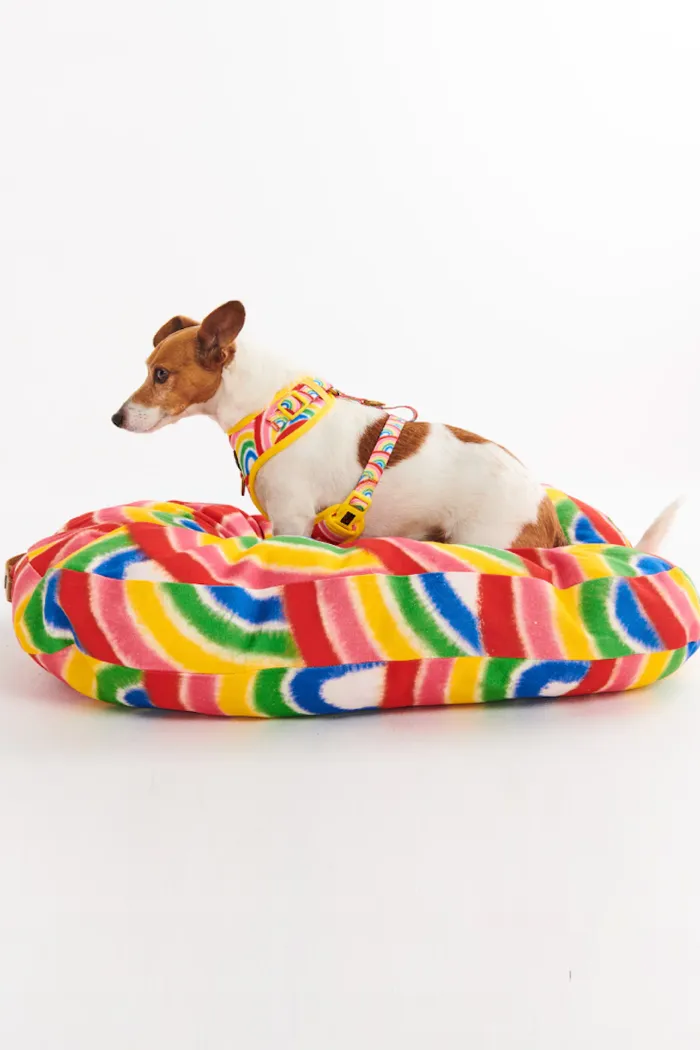 Dog Bed, Rainbow Spray