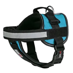 Dogline Unimax Multi-Purpose Dog Harness Teal