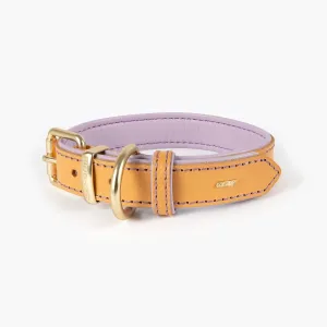 EzyDog Oxford Leather Dog Collar Blonde and Lilac Large