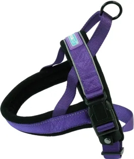 Hem & Boo Reflective Padded Dog Harness