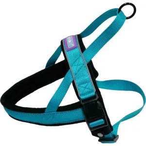 Hem & Boo Reflective Padded Dog Harness