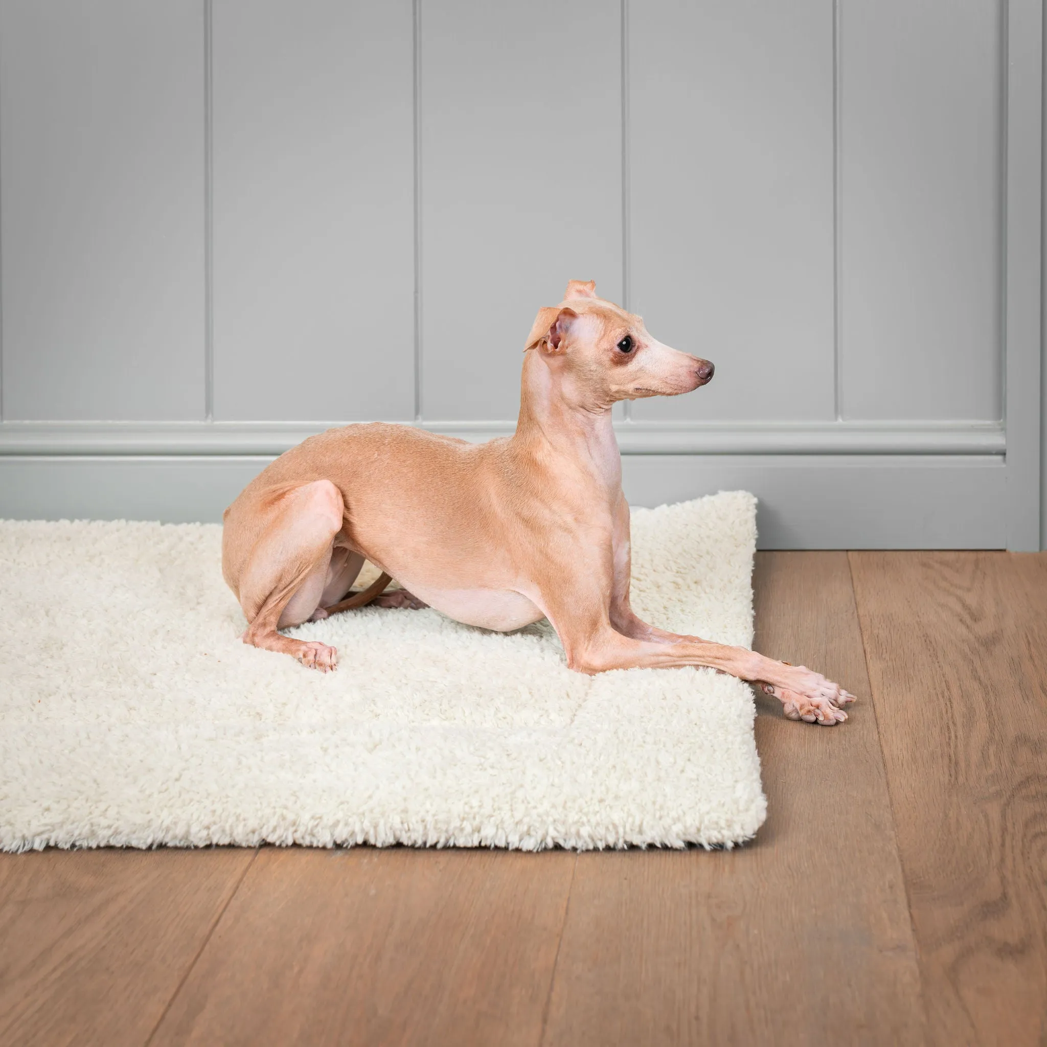 Hottie Mat by Lords & Labradors