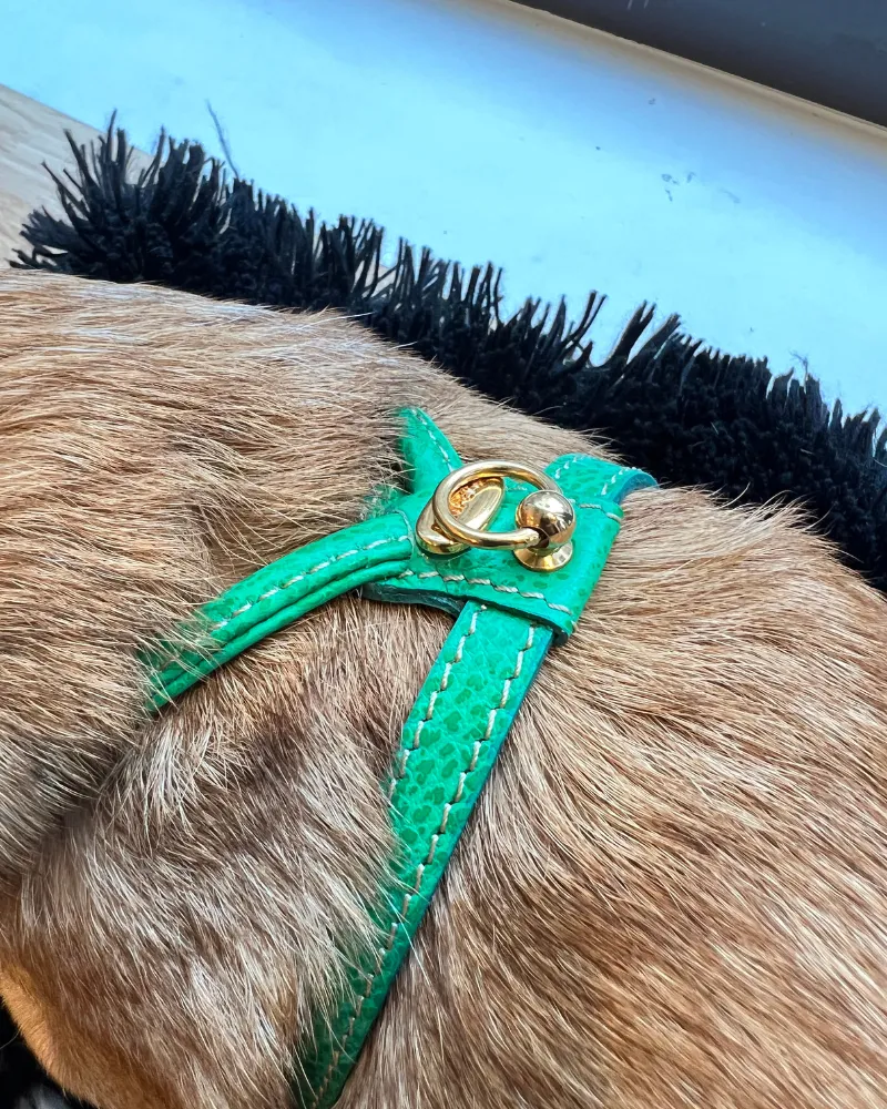 Italian Leather Dog Harness in Green