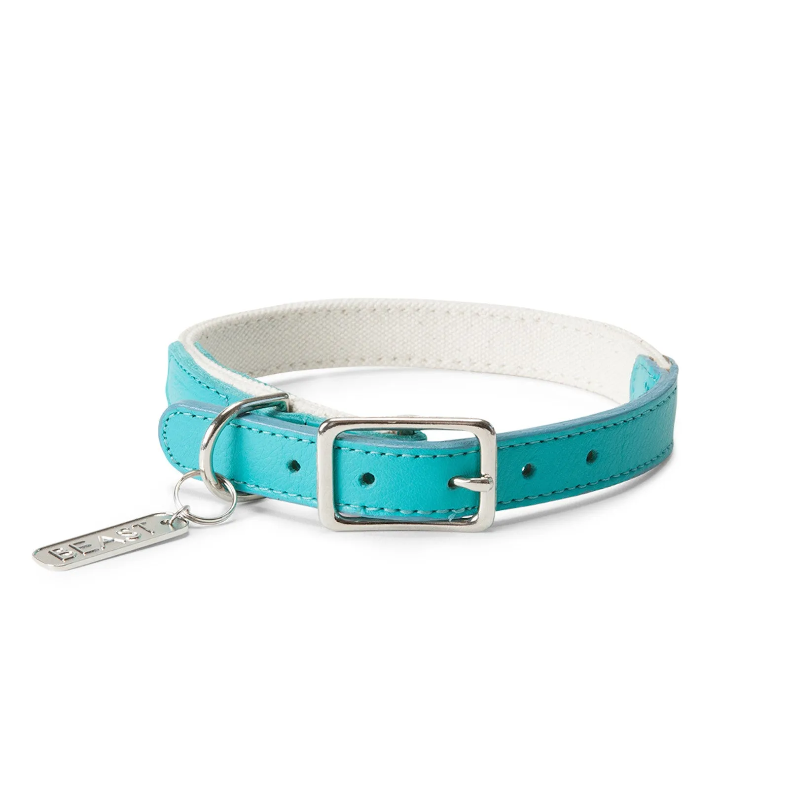 Leather Canvas Collar in Natural & Aqua