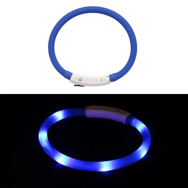 LED Lighted Collars to Keep Pets SAFE at Night!  Rechargeable *