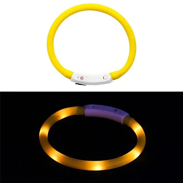 LED Lighted Collars to Keep Pets SAFE at Night!  Rechargeable *