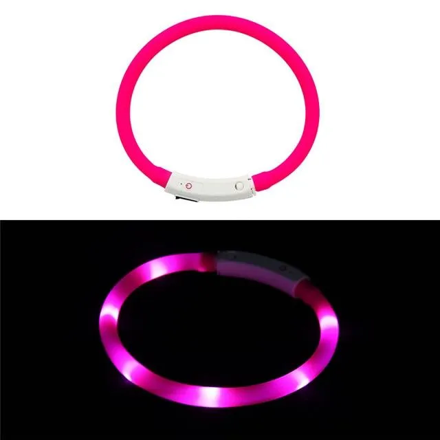 LED Lighted Collars to Keep Pets SAFE at Night!  Rechargeable *