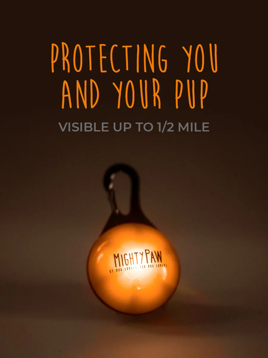 Mighty Paw LED Dog Safety Lights: Illuminate Your Nighttime Walks (2pk)