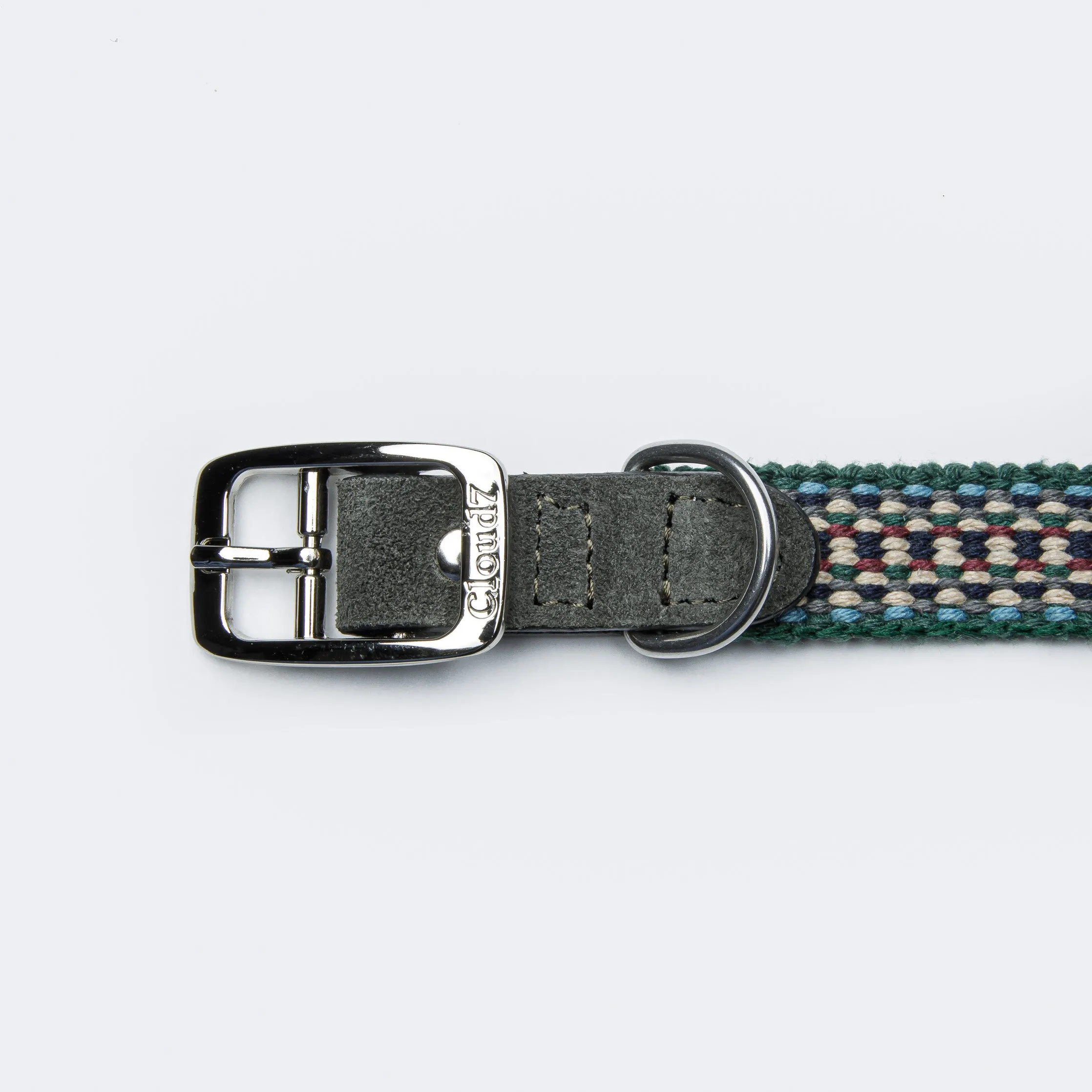 Prater Dog Collar in Forest from Cloud 7