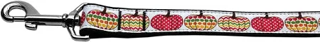 Pretty Pumpkins Nylon Dog Leash 5-8 Inch Wide 4ft Long