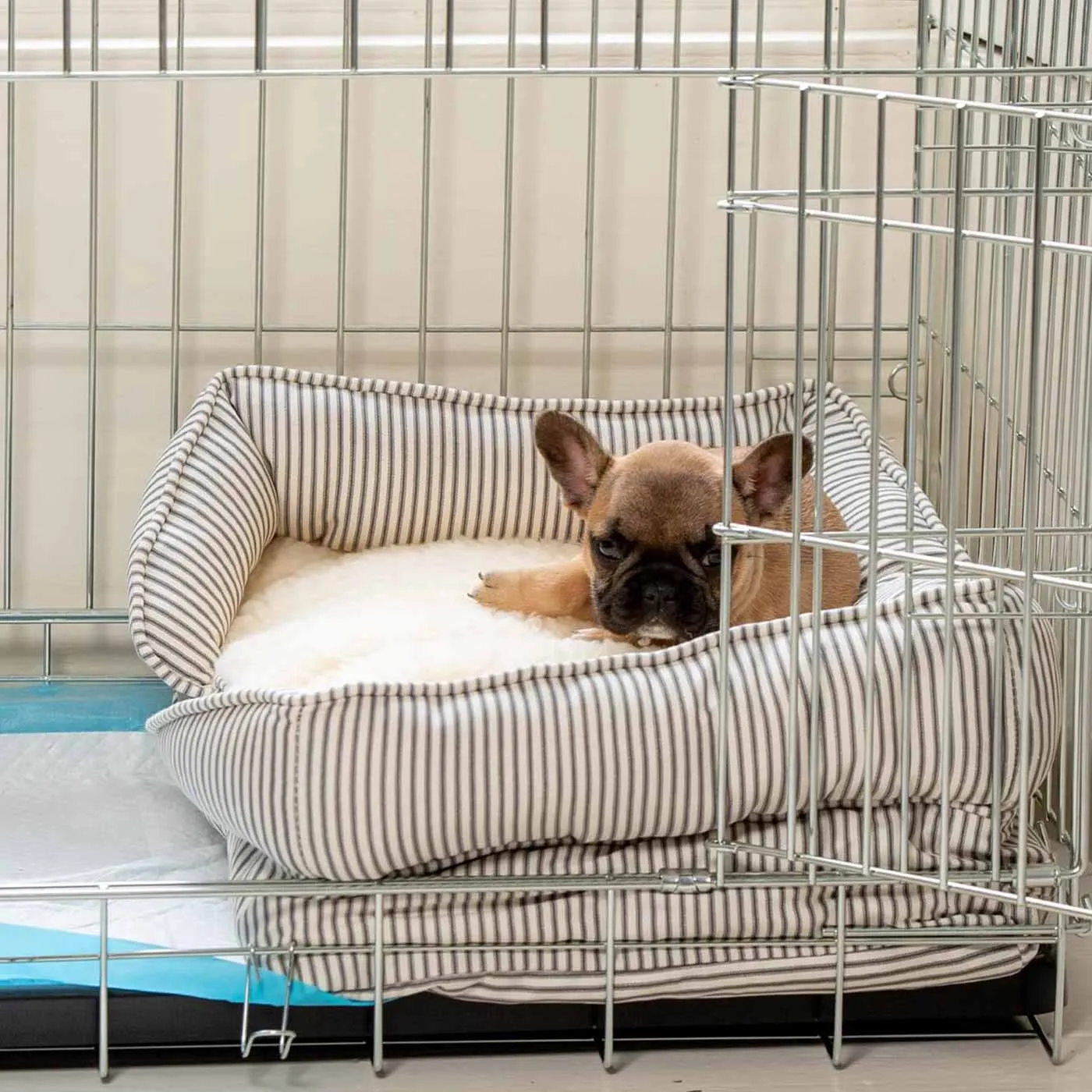 Puppy Crate Beds By Lords & Labradors