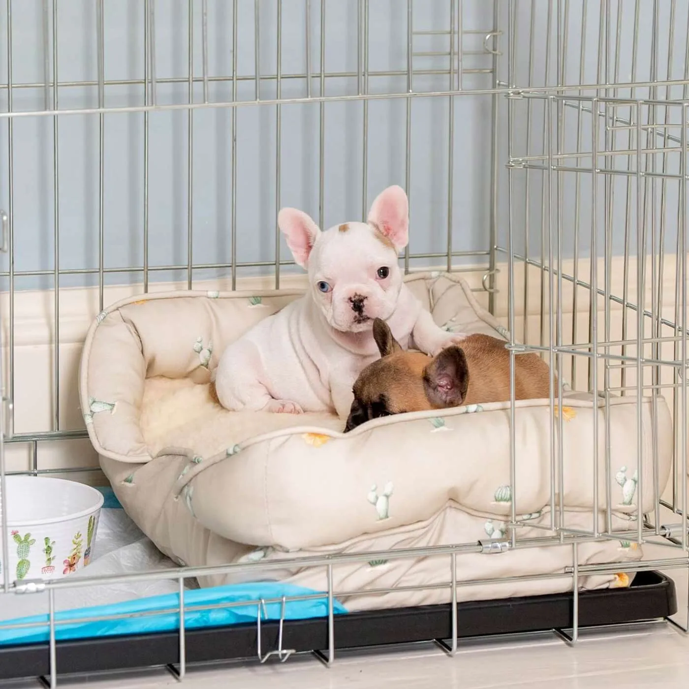 Puppy Crate Beds By Lords & Labradors