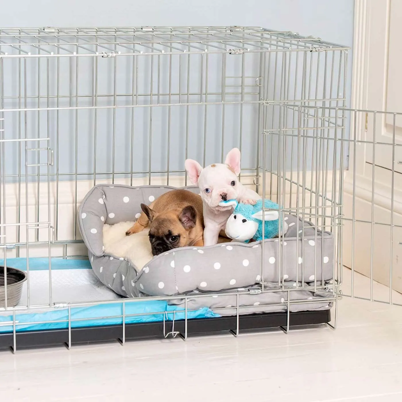 Puppy Crate Beds By Lords & Labradors