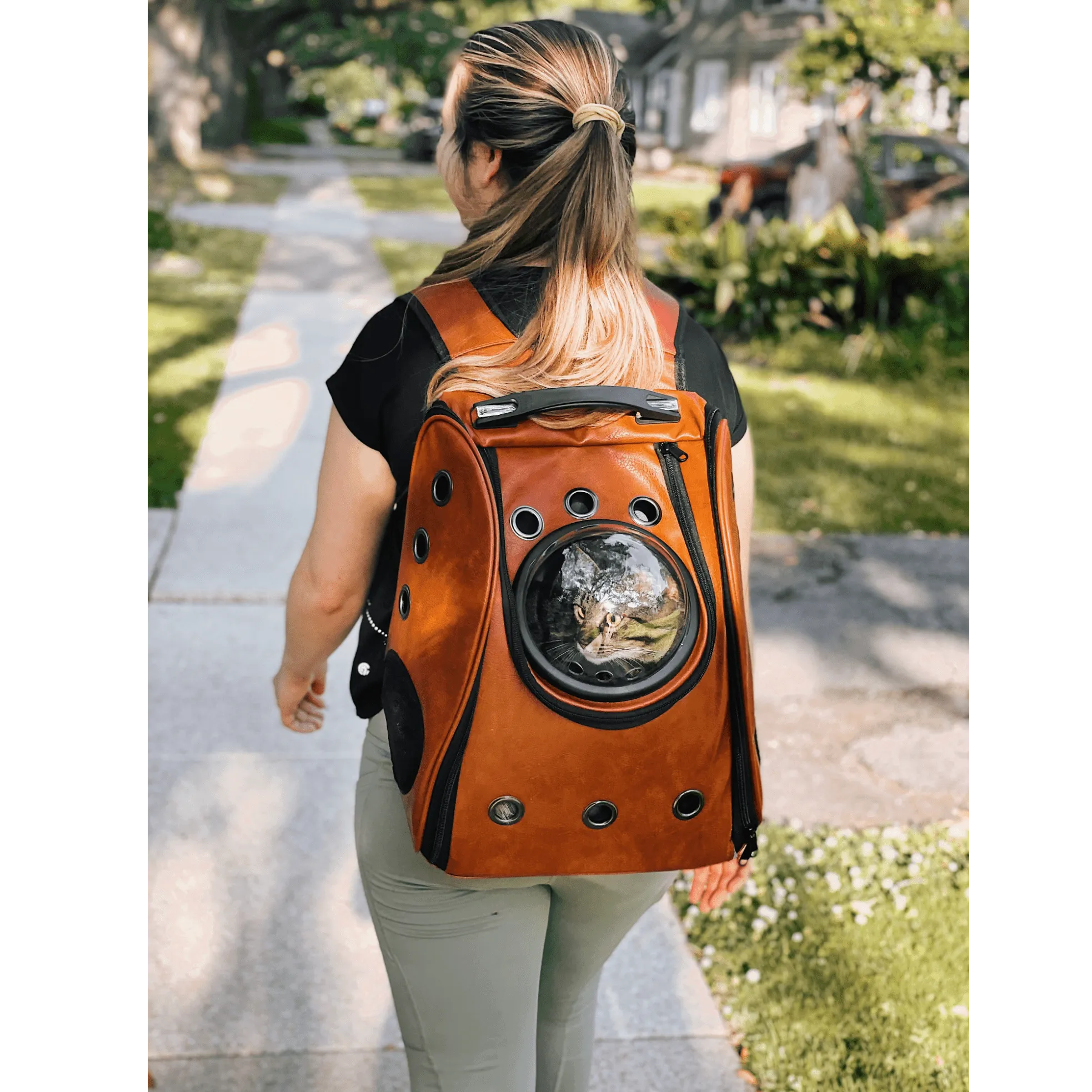 "The City Chic" Cat Backpack