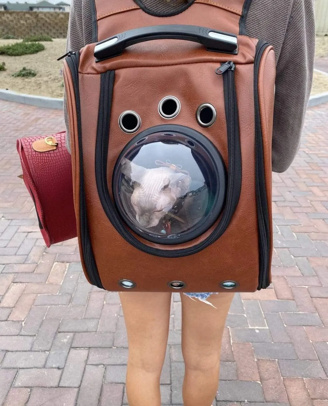 "The City Chic" Cat Backpack