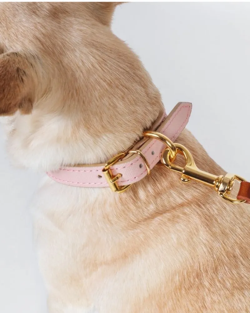 Small Dog Collar in Blush Pink Leather (Made in Italy) (FINAL SALE)