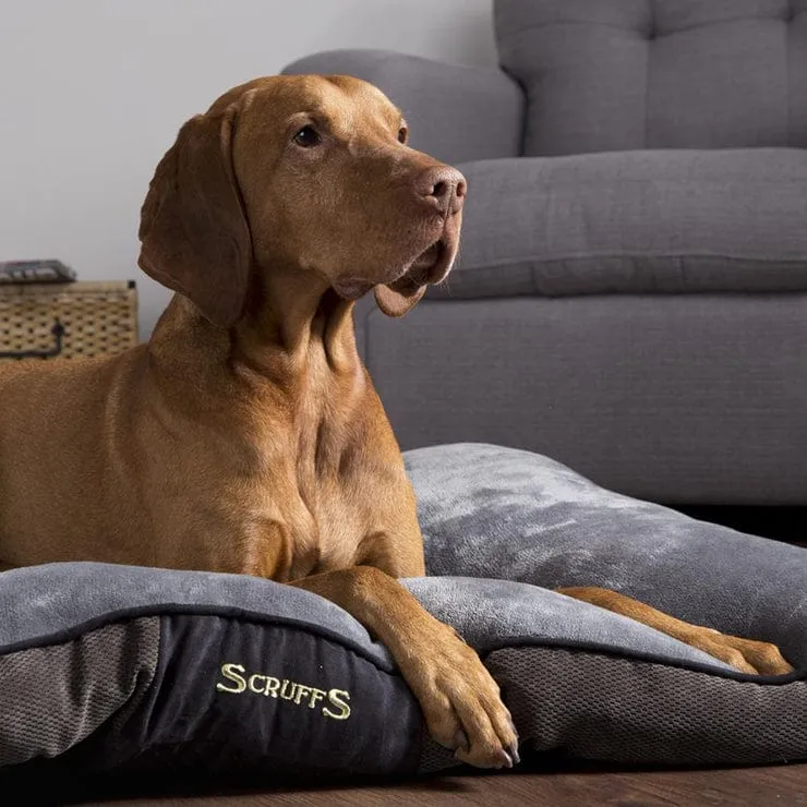 The Luxury Chester Mattress Dog Bed Cushion