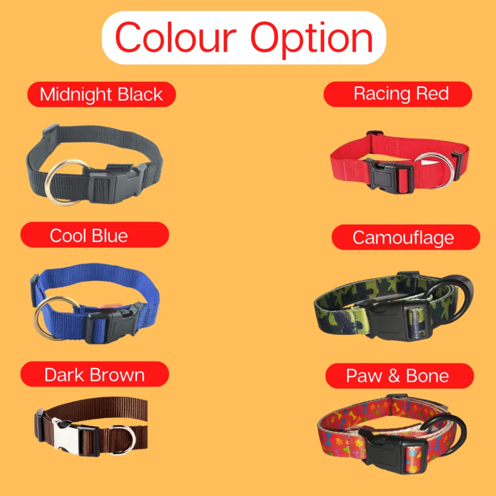 Vama Leathers Night Visible Reflective All Weather Everyday Collar for Dogs (Sunrise Orange)