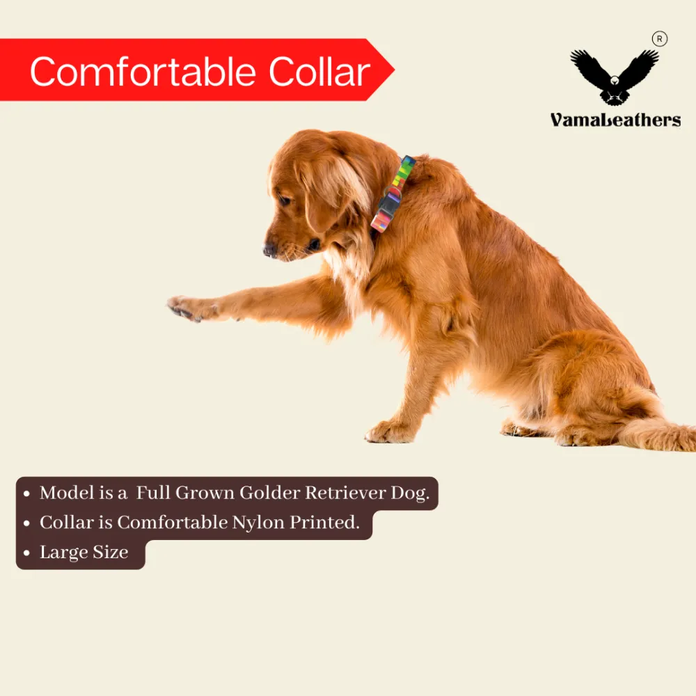 Vama Leathers Night Visible Reflective All Weather Everyday Collar for Dogs (Sunrise Orange)